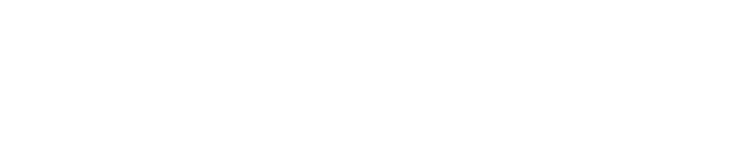 Logo Marega footer
